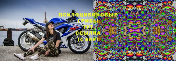 ГАЛЛЮЦИНОГЕННЫЕ ГРИБЫ Сосновоборск