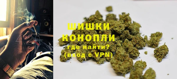 круглые Сосновый Бор