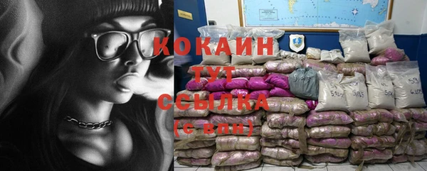 spice Карпинск